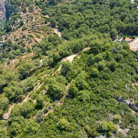 Sojoy Art 4* פאטהיה