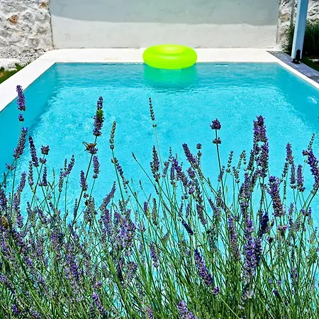 Sojoy Art Fethiye